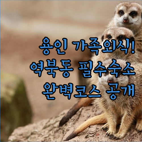 아이와 함께하는 용인 가족 외식 코스..