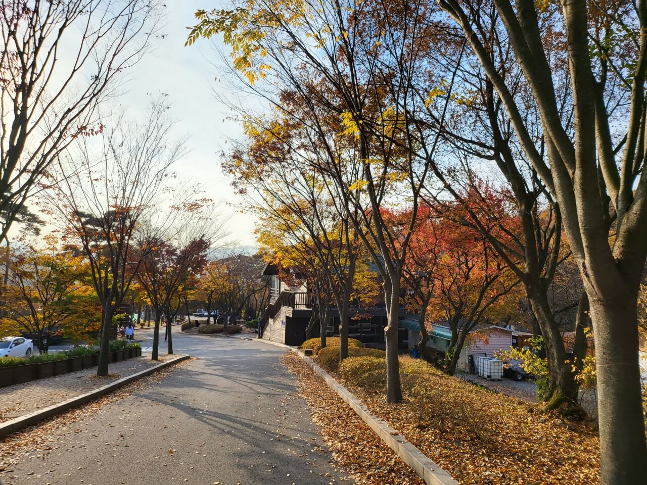 용인자연휴양림 풍경