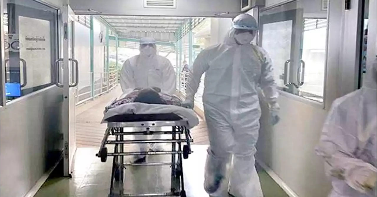 우한 폐렴 관련주
