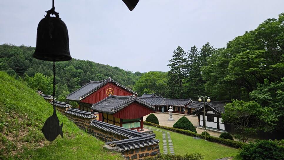 금산 보석사 : 1,100년 은행나무와 전나무 숲길이 주는 위로