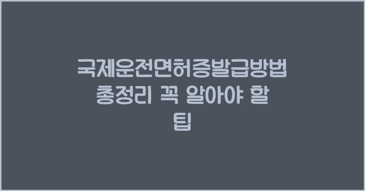 국제운전면허증발급방법