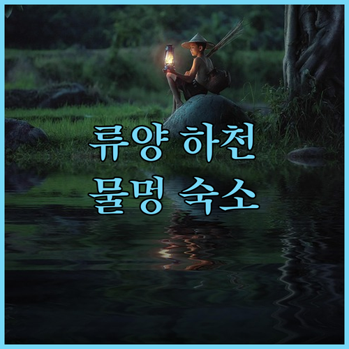 창사 근교 류양 하천풍경구 물멍하기 ..