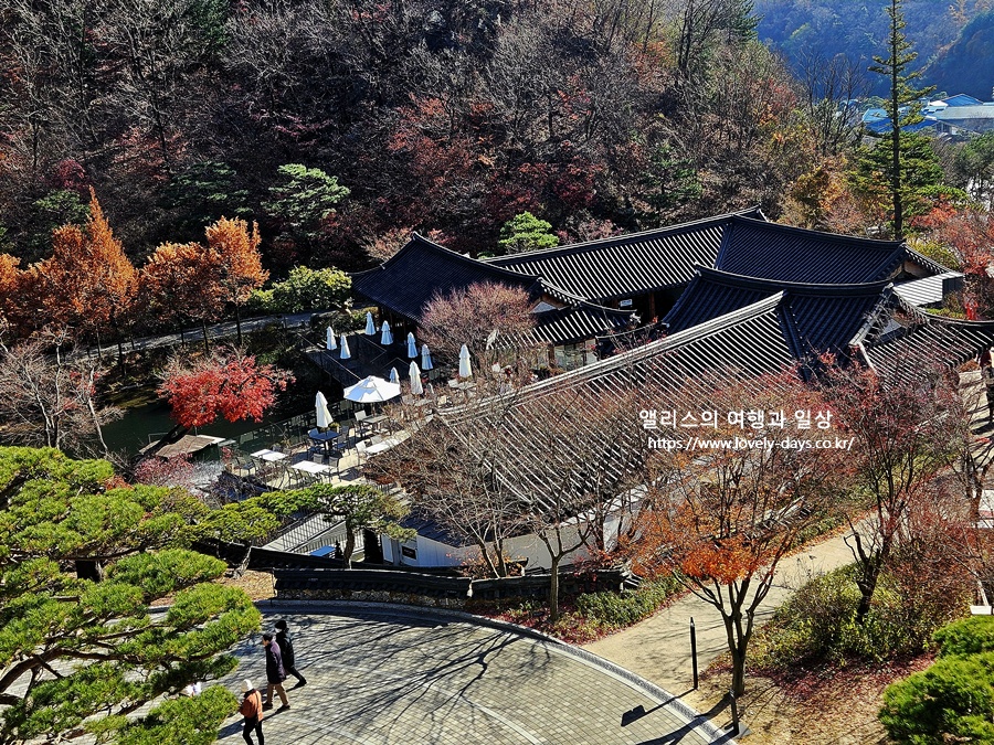 2025 화담숲 마지막 가을 단풍 화담채 분재 즐기기