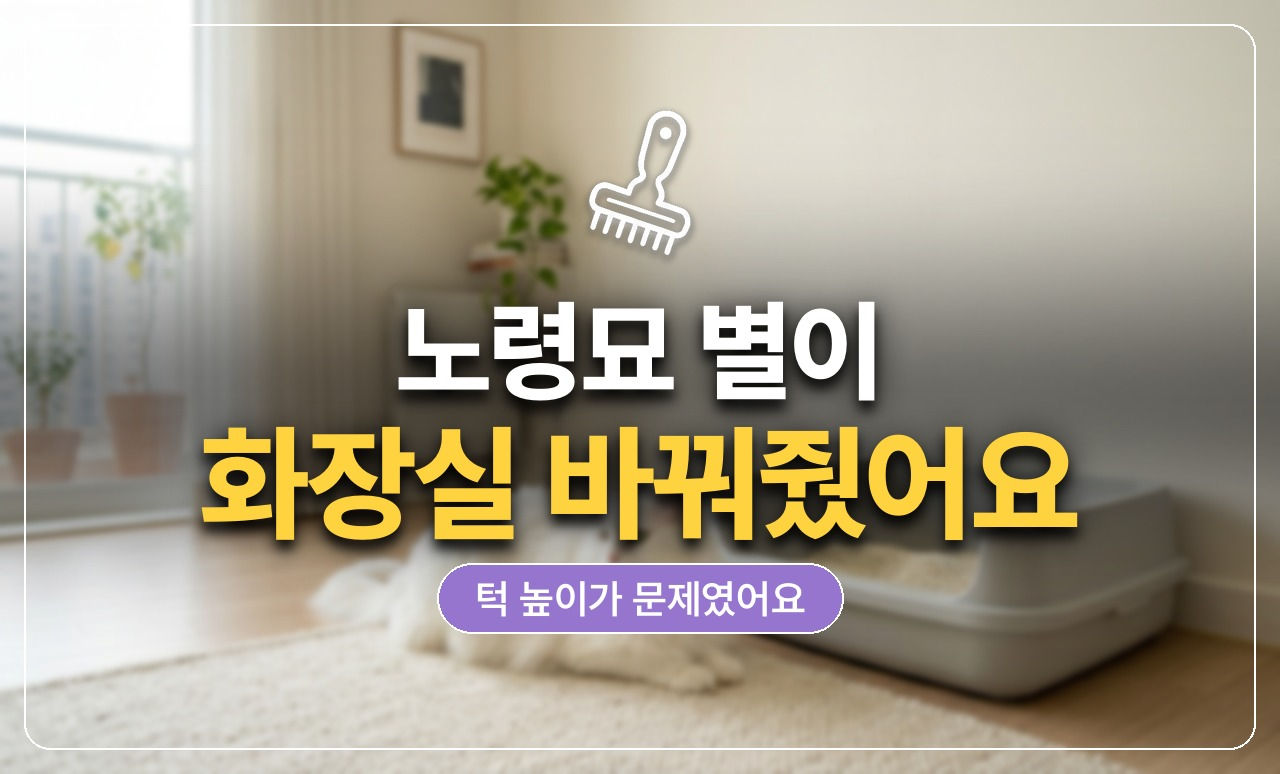 노령묘 화장실 바꾸기
