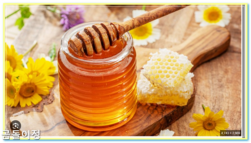 꿀 효능 칼로리 비교, 당뇨 환자가 알아야 할 핵심