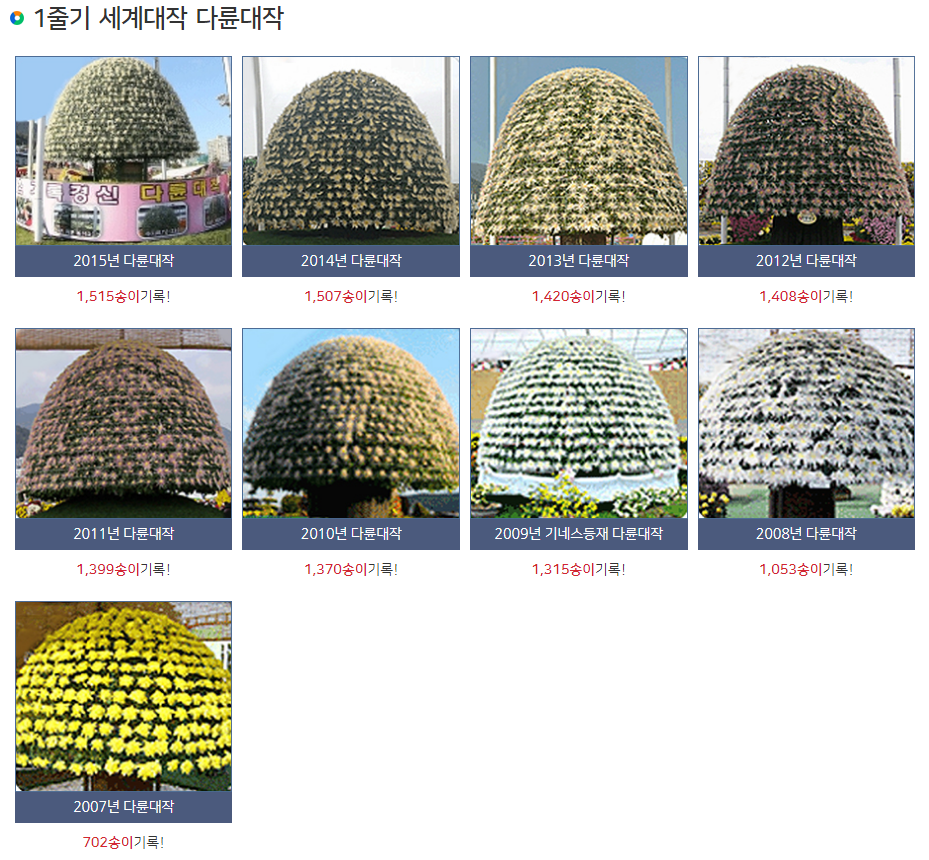 가을국화축제-아침고요수목원-피나클랜드