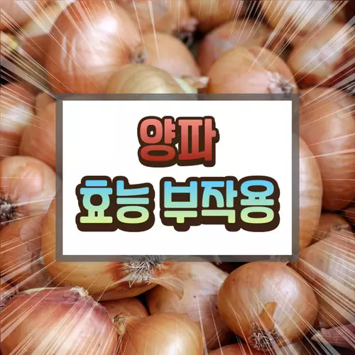 양파 효능 부작용에 대하여
