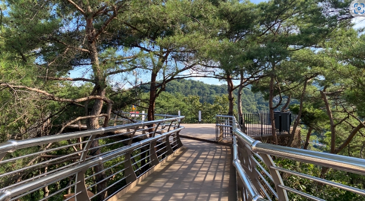 원주/핫플레이스/소금산/그랜드밸리