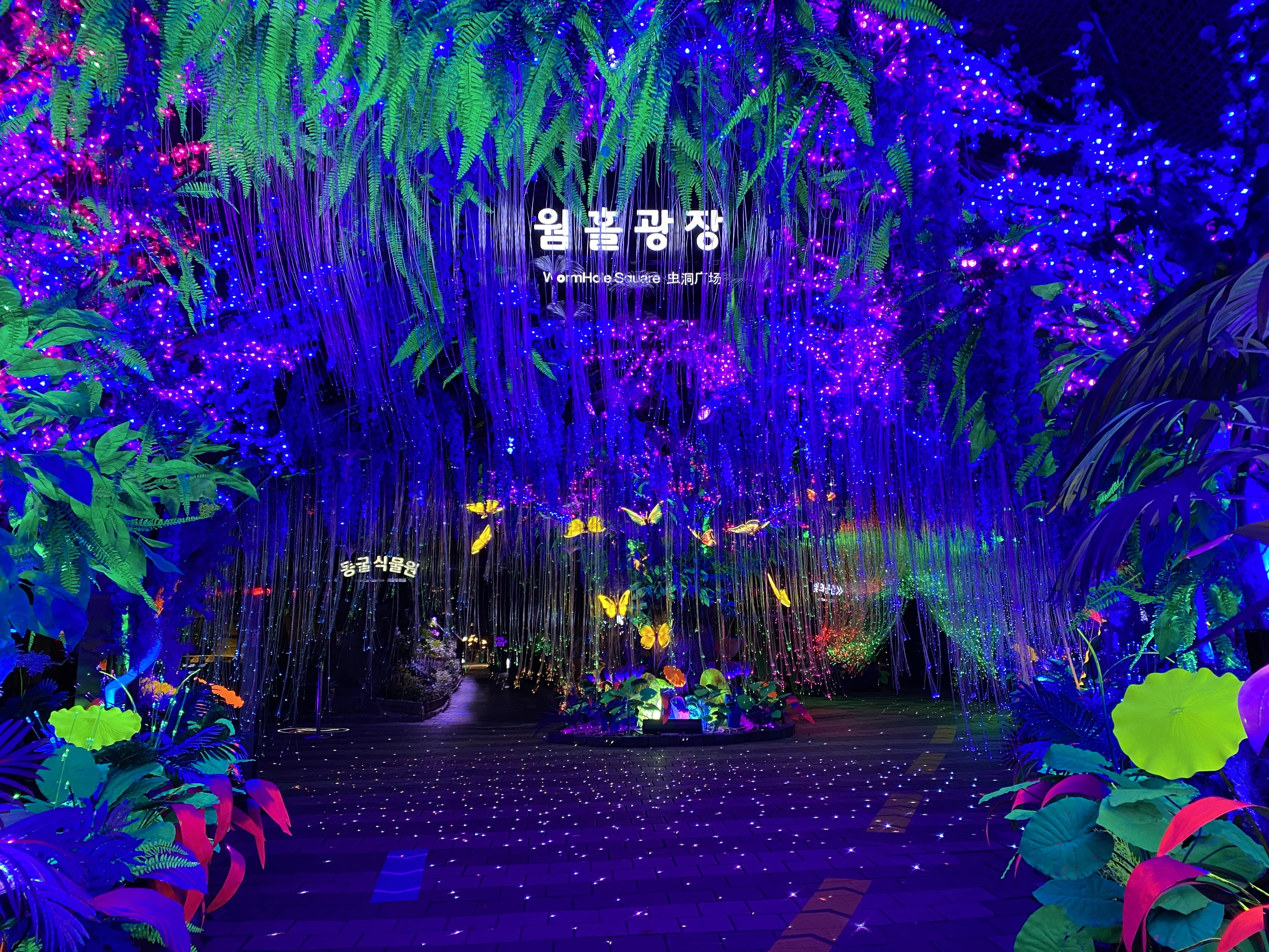 광명동굴 예약 및 입장료 알아보기