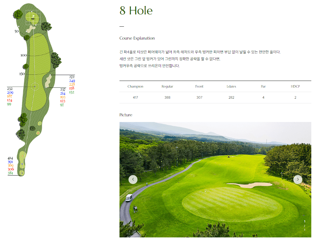 더 시에나 컨트리클럽 서코스 8