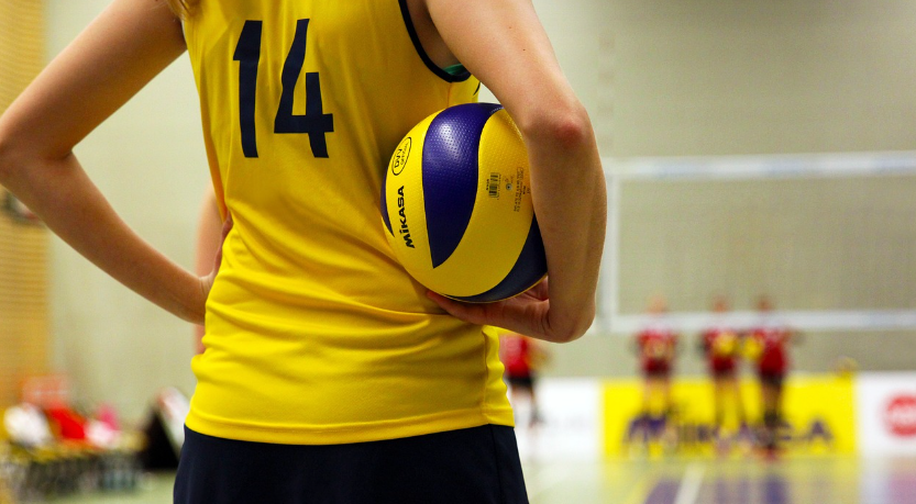 배구 기본 규칙 및 필수 기술