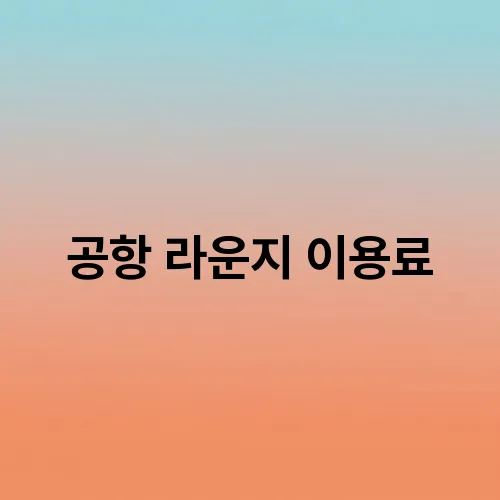 공항 라운지 이용료