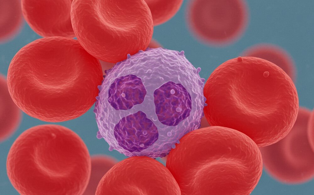 붉은색, 동그라미, 암세포