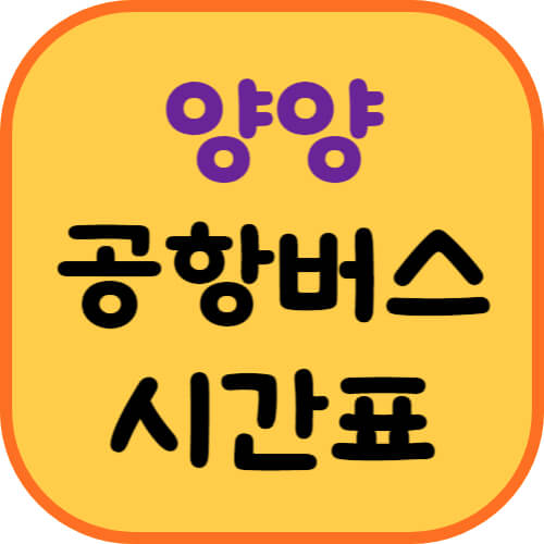 양양-공항버스-이미지