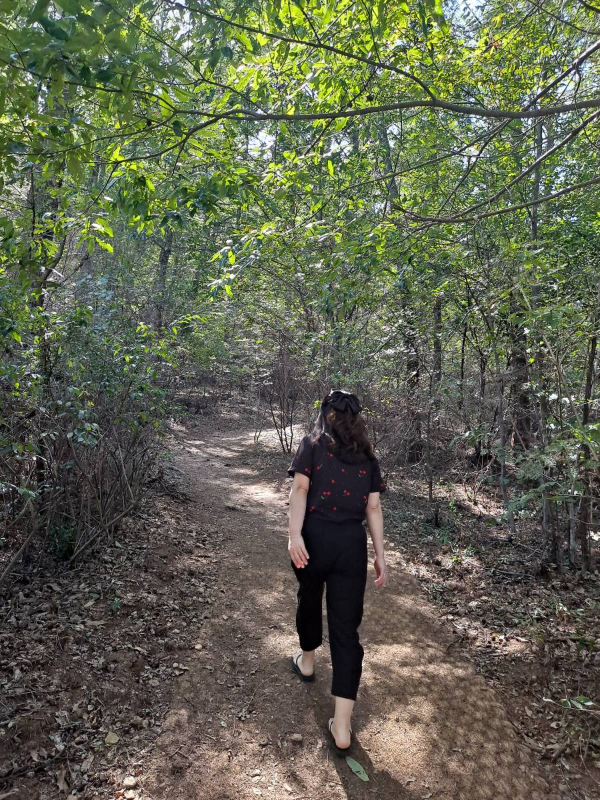 등산을 시작하다