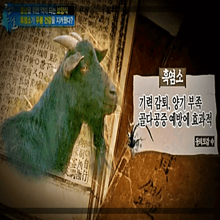 천기누설-흑염소-동의보감