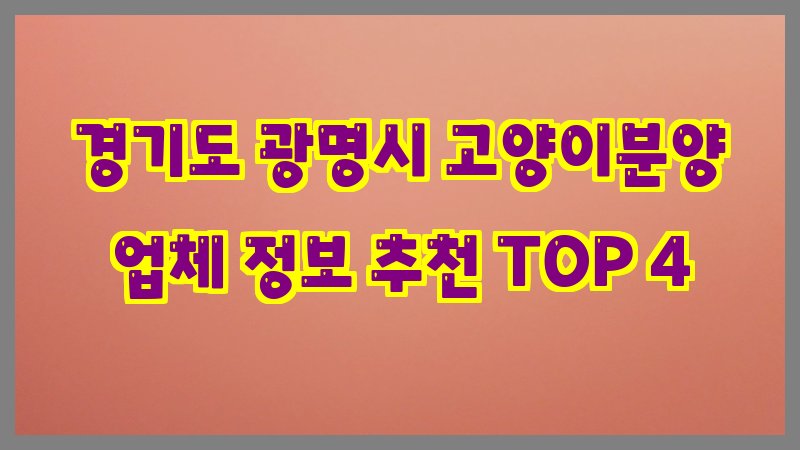 경기도 광명시 고양이분양