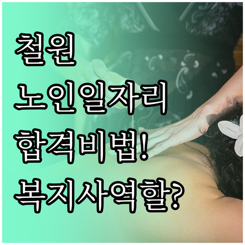 철원 노인일자리 지원 방법과 시니어클..
