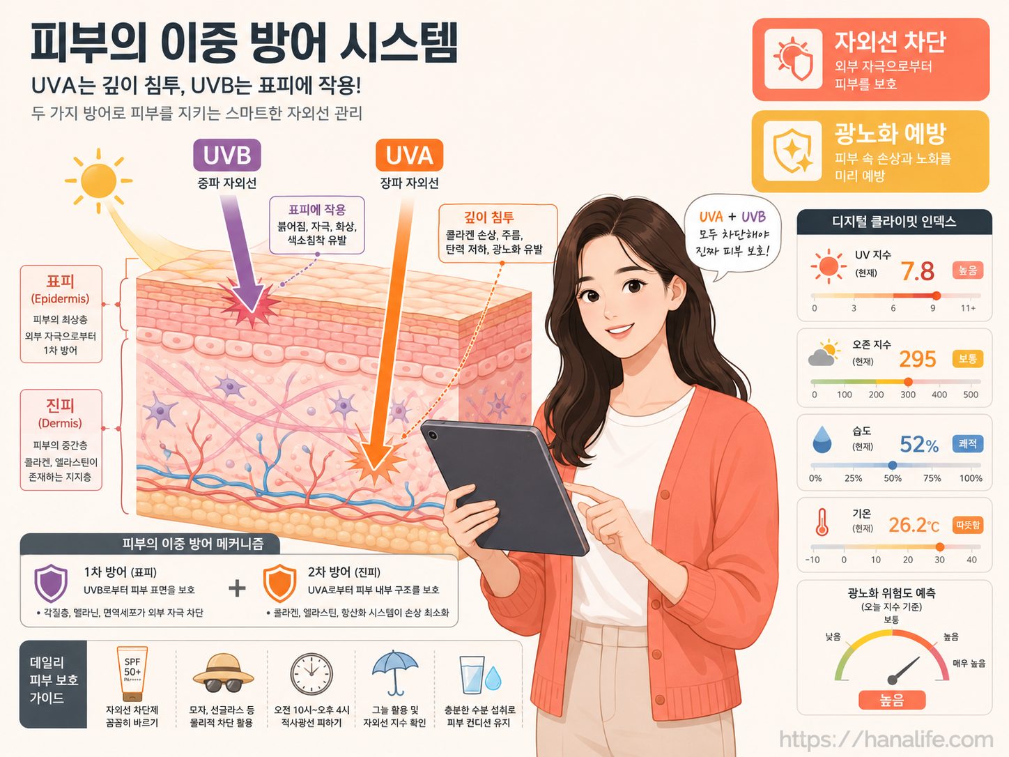 지표면에 도달하는 UVA와 UVB 자외선이 피부 진피층과 표피층까지 깊숙이 침투하여 미치는 자극 범위를 시각화한 구조도