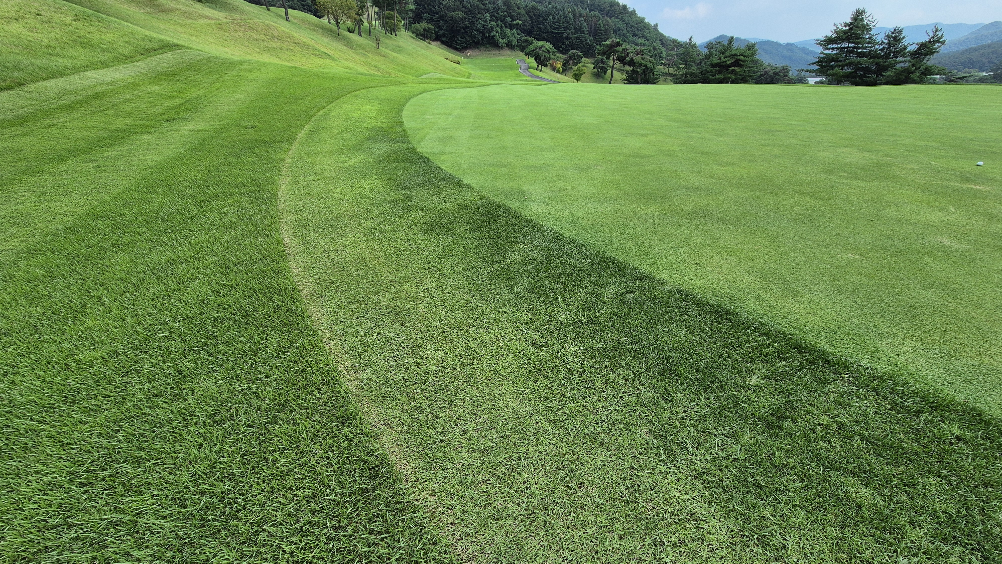 동원썬밸리cc 라운드 후기