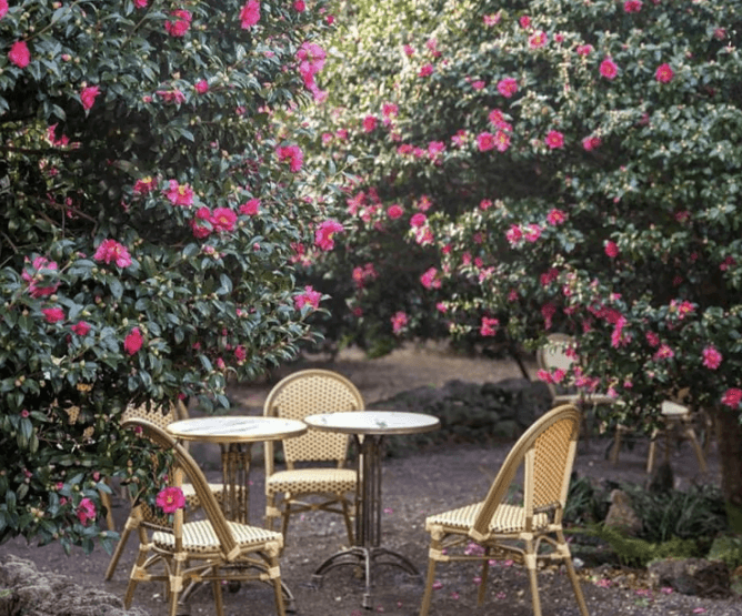 겨울에만 열리는 한정판 가족 여행 코스 5선