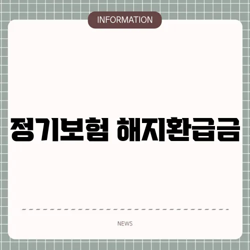 정기보험 해지환급금