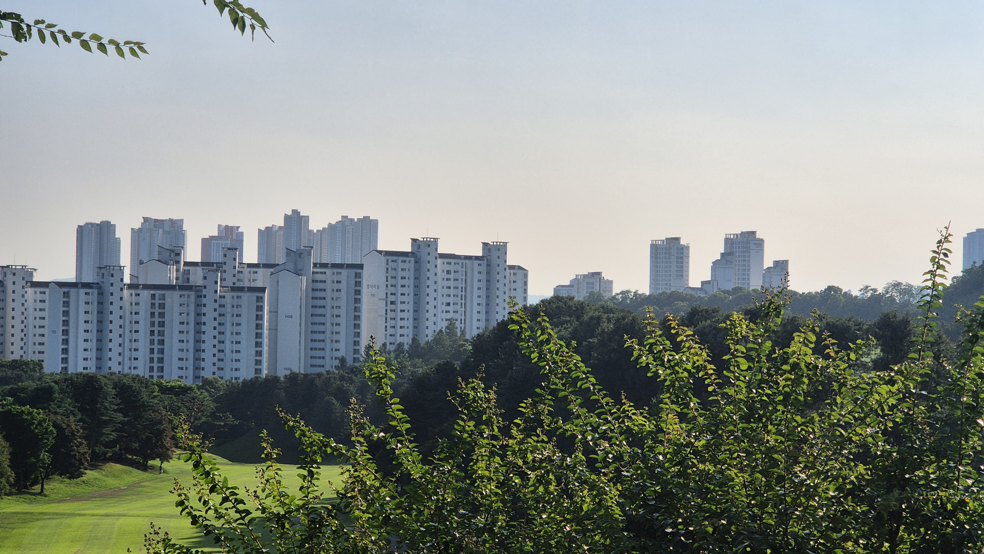 태광cc 북-서 코스 라운드 후기