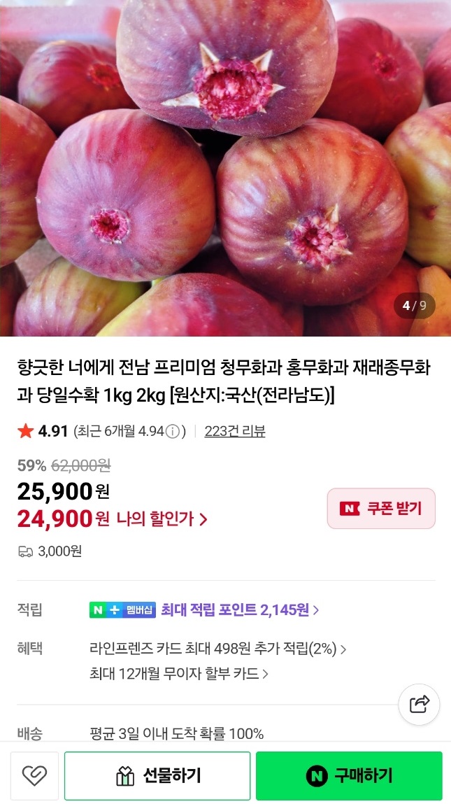 동네한바퀴-영암-재래종-무화과-천안기