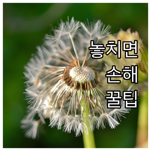 성북구 폐기물 스티커 구매? 동사무소..