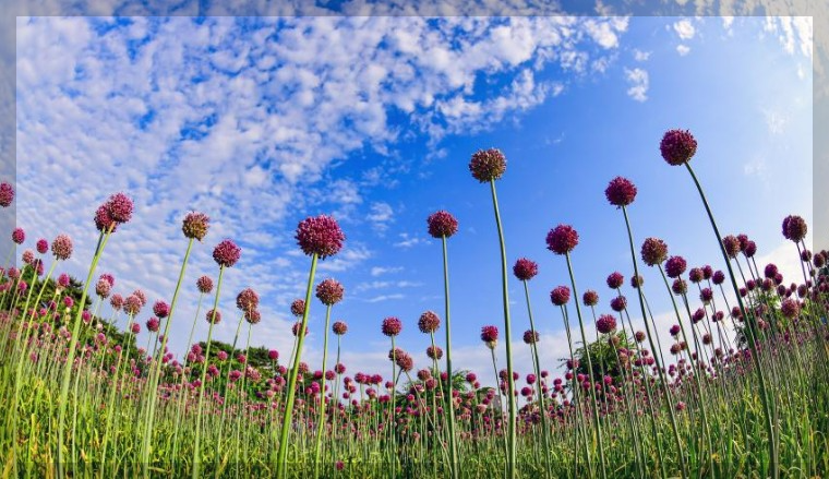 6월 국내 여행지 추천