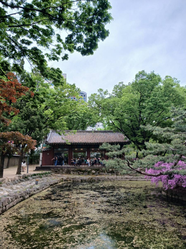 덕수궁 연못