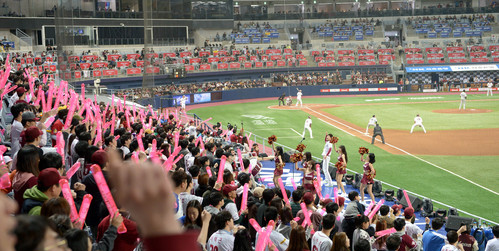 프로야구 경기 사진