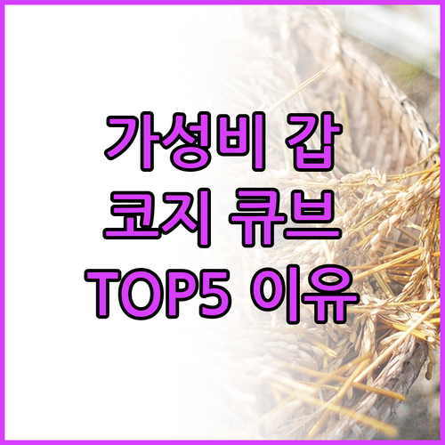 코지 큐브 호텔, 가격 대비 만족도