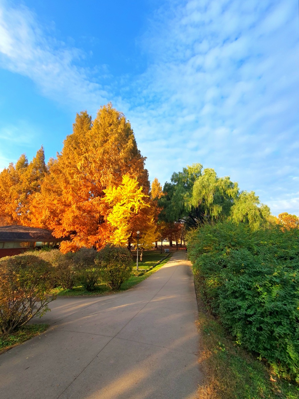 사색의-계절-가을입니다.