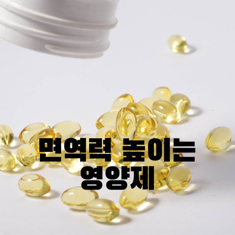 면역력 높이는 영양제