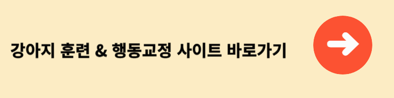 강아지 훈련 &amp; 행동교정 사이트