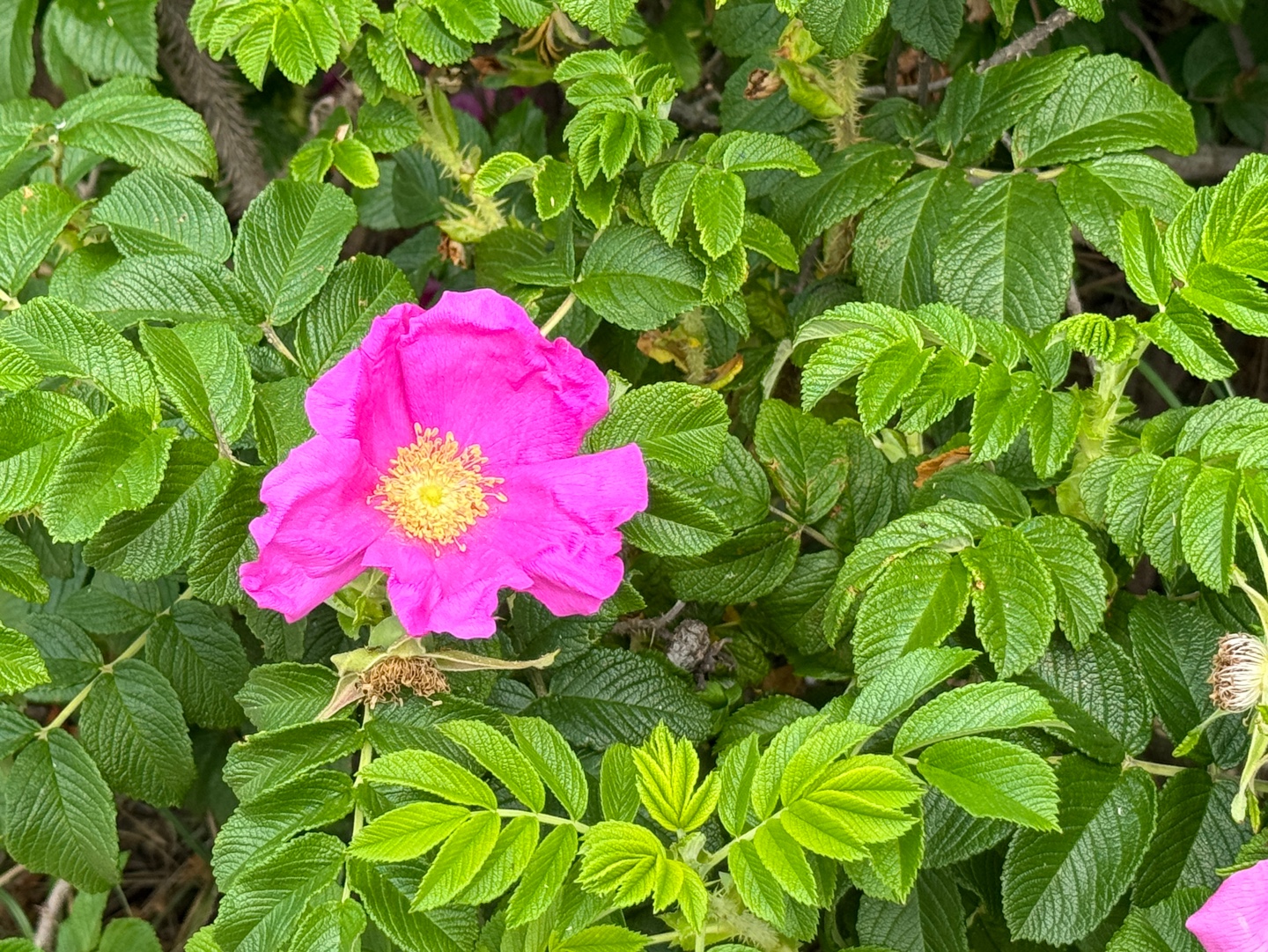 만리포해수욕장