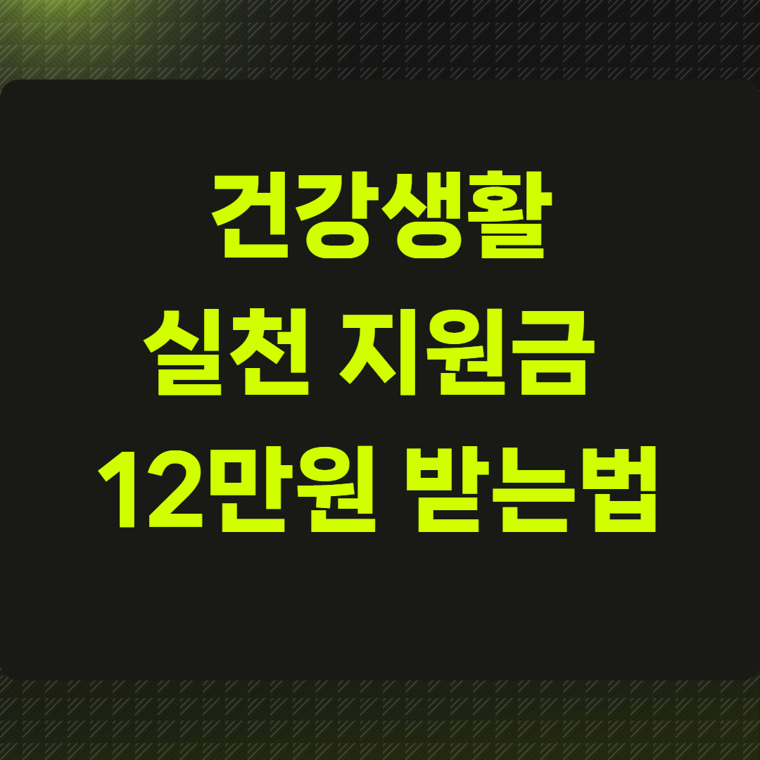 건강생활실천지원금 12만원 받는법 총정리