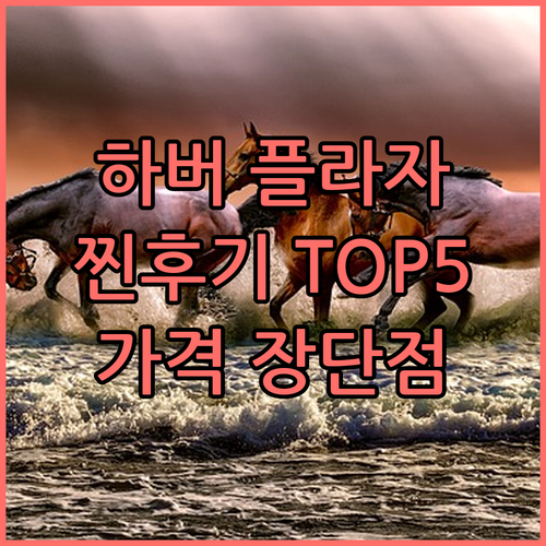 하버 플라자 8 디그리스 TOP5 찐
