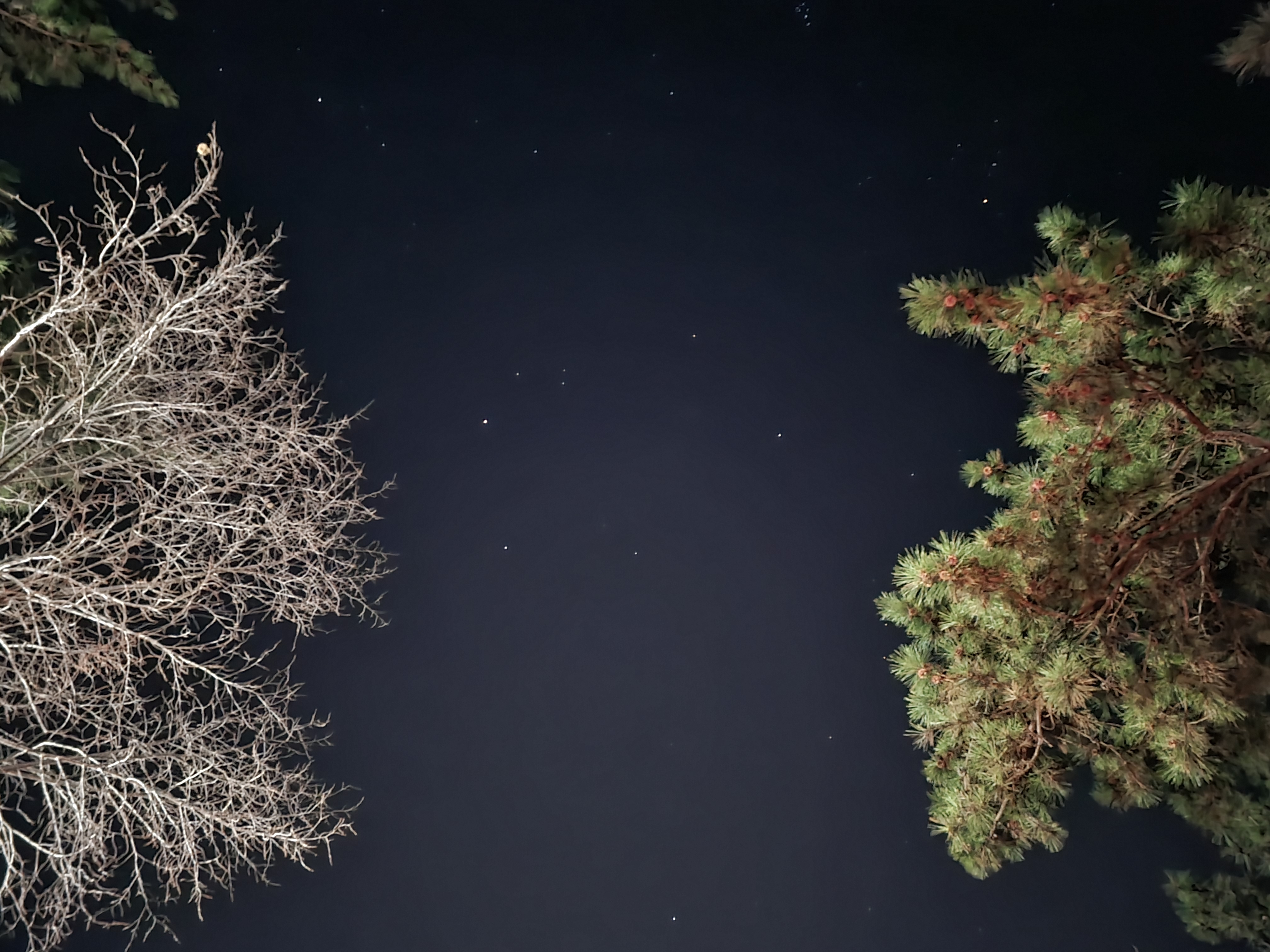 시간과 바깥 캠핑장