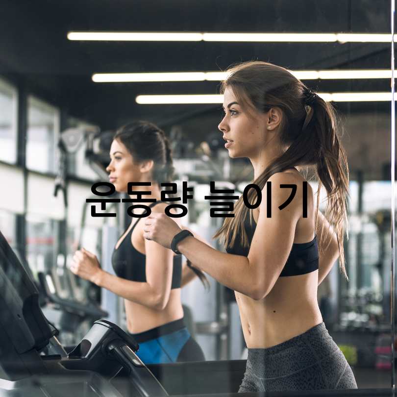 명절후다이어트