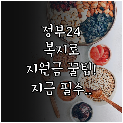 정부24와 복지로에서 지원금 신청하기..
