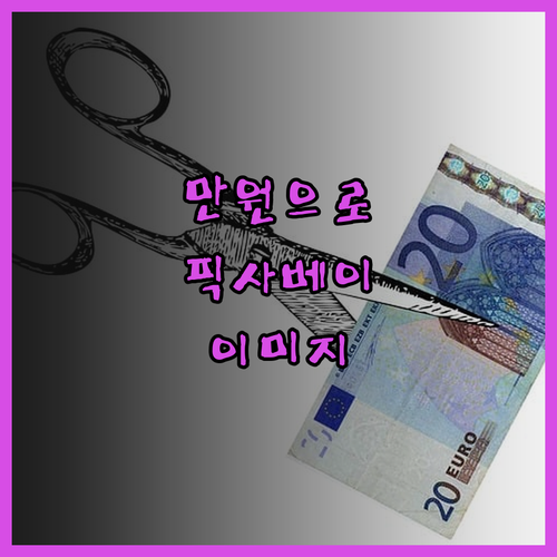 단돈 10,000원으로 픽사베이 이미