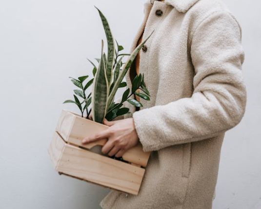 포장이사 비용 줄이기, 견적 비교
