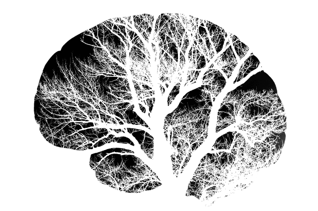 뇌 그림 안의 나무