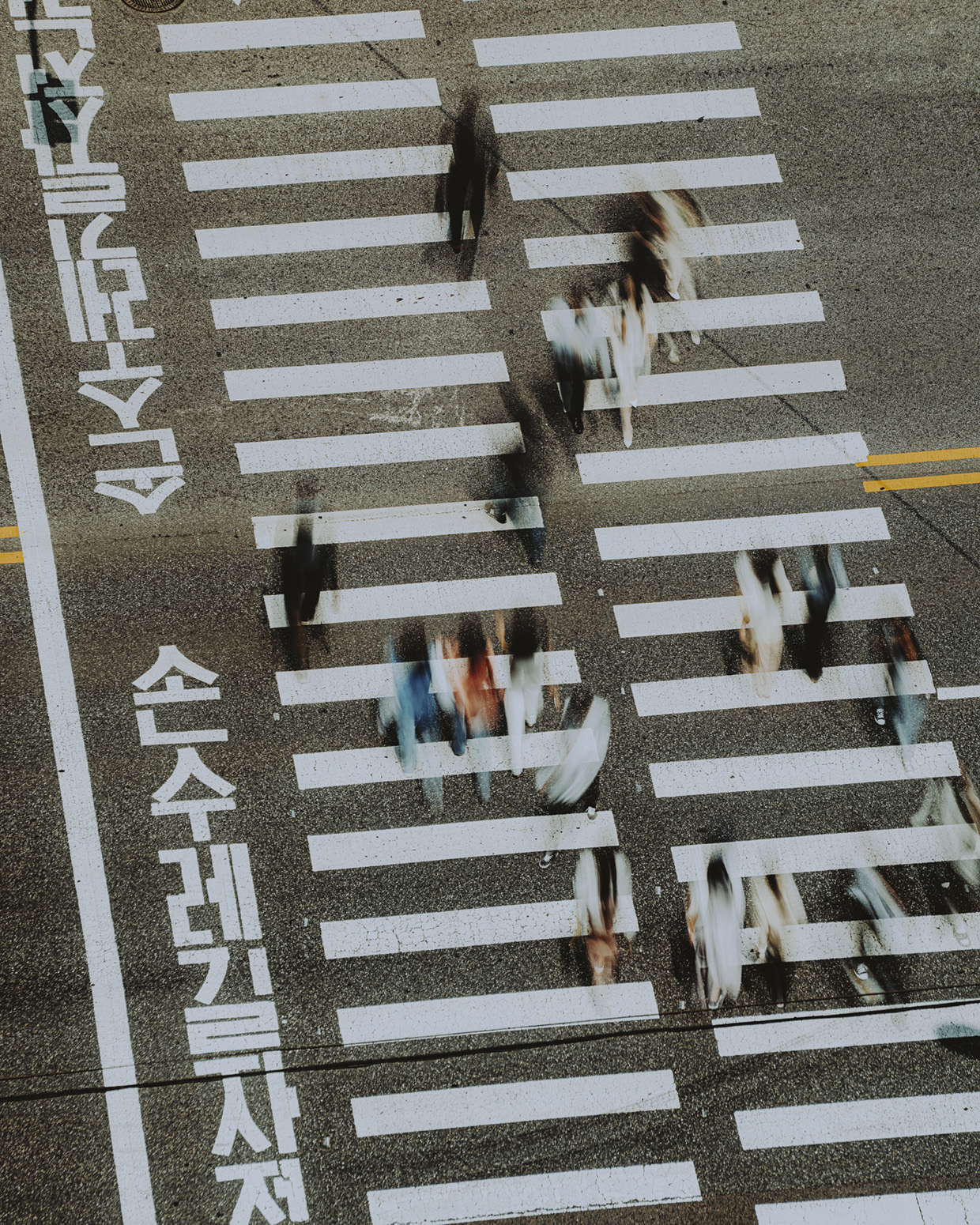 요시고(YOSIGO), seoul