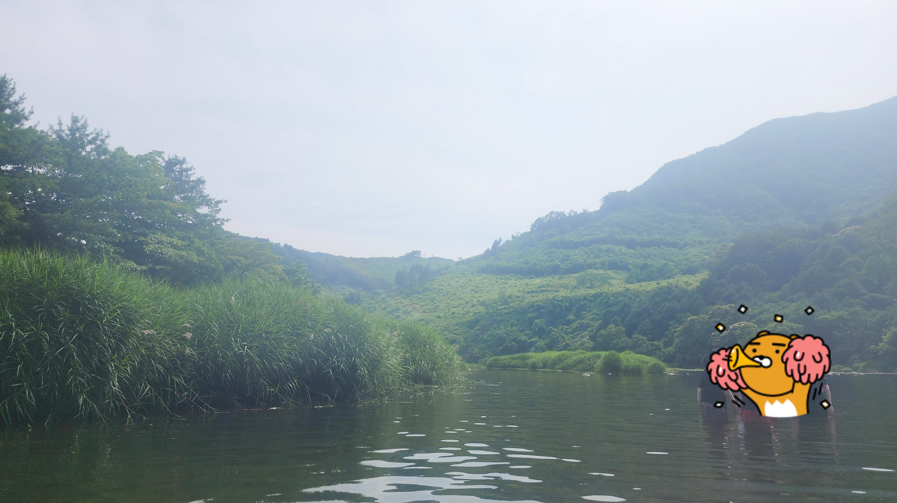 굉장히 넓기 때문에 즐기기 좋은 모습