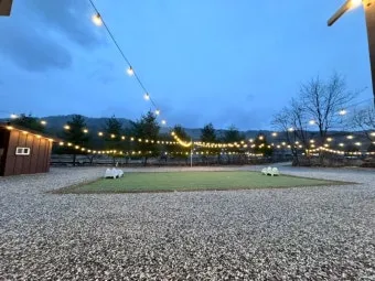 포천애견글램핑 포천 애견식당 당일치기 글램핑 해피캠핑 바베큐 바우어캠프 포천 완벽 체험_2