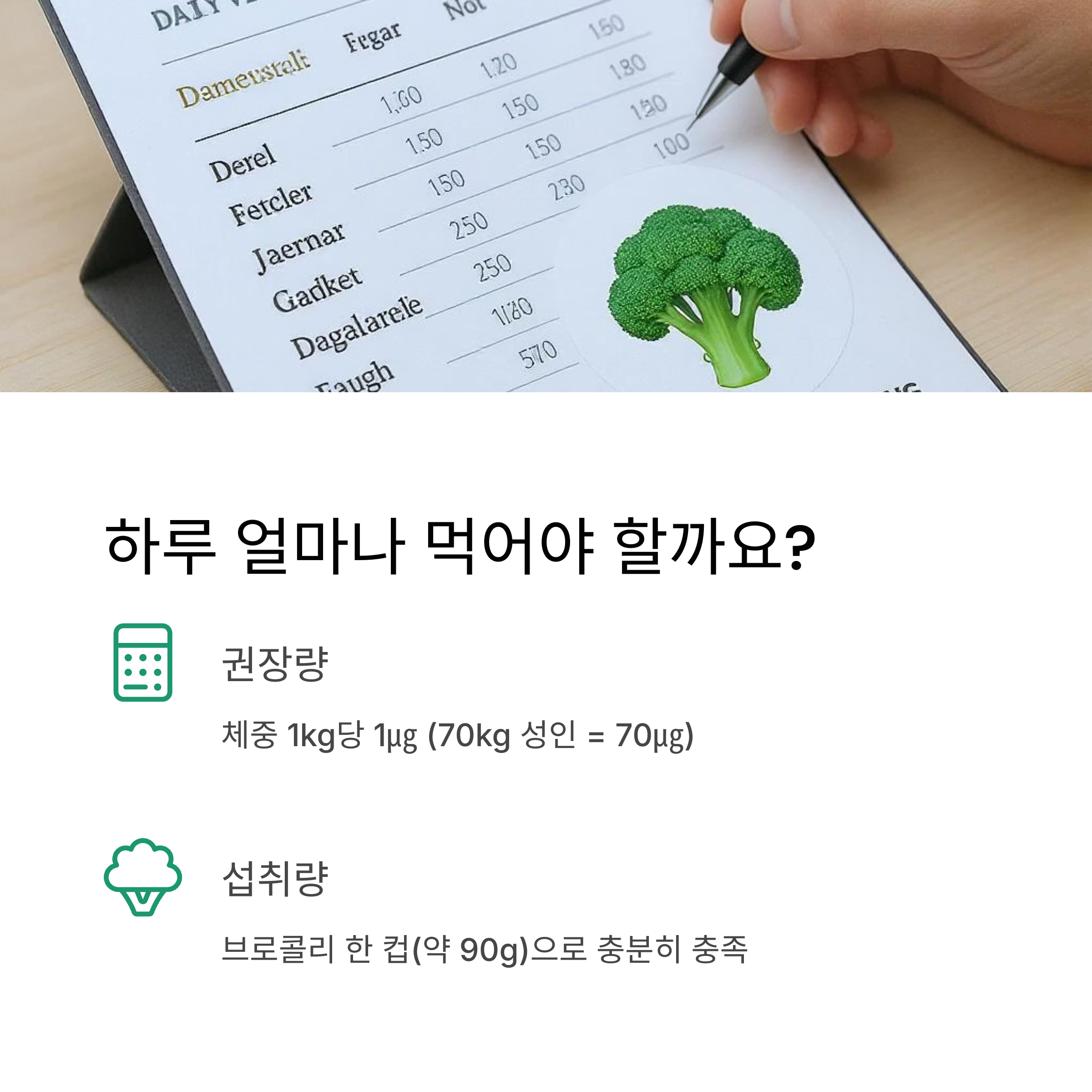 하루 권장량