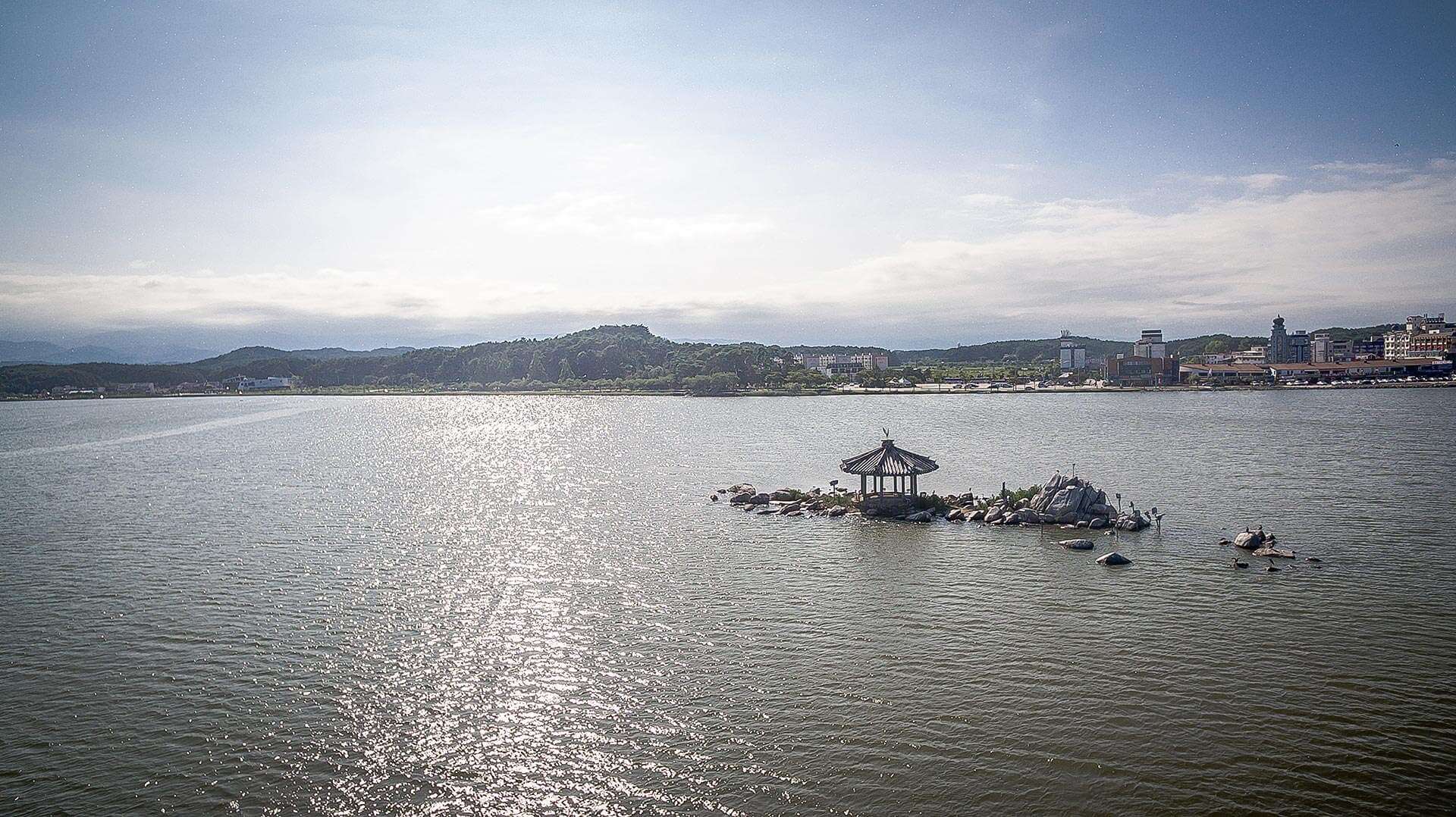 강릉 사근진 해변 유채꽃밭